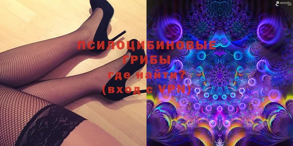 стаф Алексин