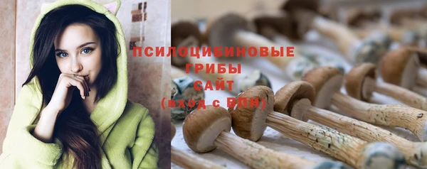 стаф Алексин