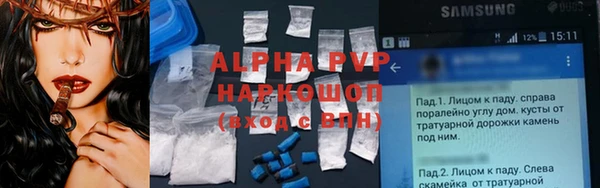 стаф Алексин