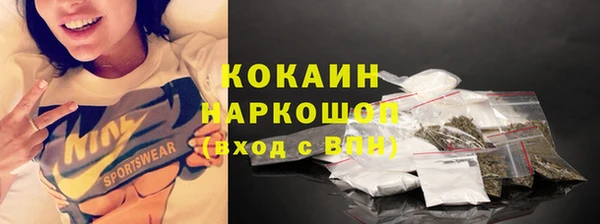стаф Алексин