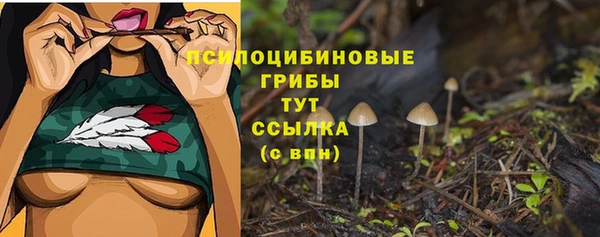 стаф Алексин
