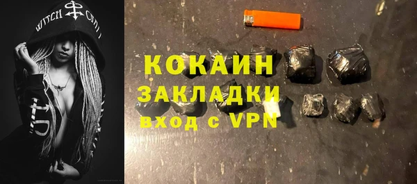 крисы Абаза