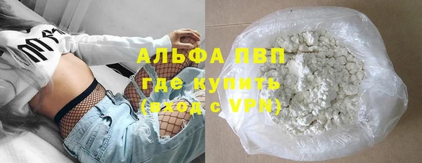 стаф Алексин